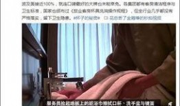 餐厅爆料视频大全集最新,揭秘美食背后的秘密与真相