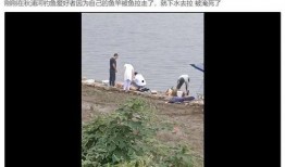 钓鱼爆料视频最新,最新爆料视频带你领略垂钓乐趣与技巧