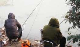 钓鱼爆料视频最新,最新爆料视频带你领略垂钓乐趣与技巧