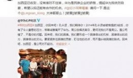 最新爆料陈宣璐是谁,揭秘娱乐圈新晋小花，神秘身份引热议