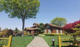 涿州洪水最新爆料信息查询,救援进展与受灾情况实时追踪