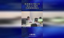爆料诈骗视频最新,揭秘诈骗手法，守护您的财产安全