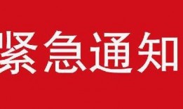 山东爆料最新新闻消息,揭秘重大事件背后真相
