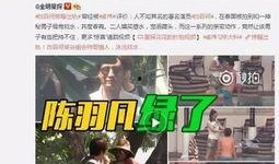 平顶山最新爆料出轨,真相与舆论的漩涡