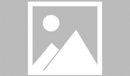 懒羊羊最新爆料视频,最新爆料视频背后的惊人真相