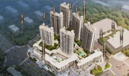 武汉潘大观最新爆料,揭秘武汉重大事件背后真相